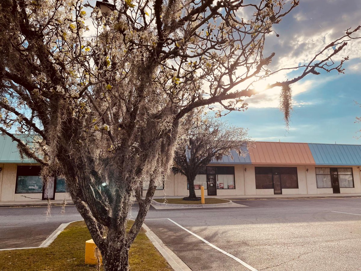 fred gretsch tweet media