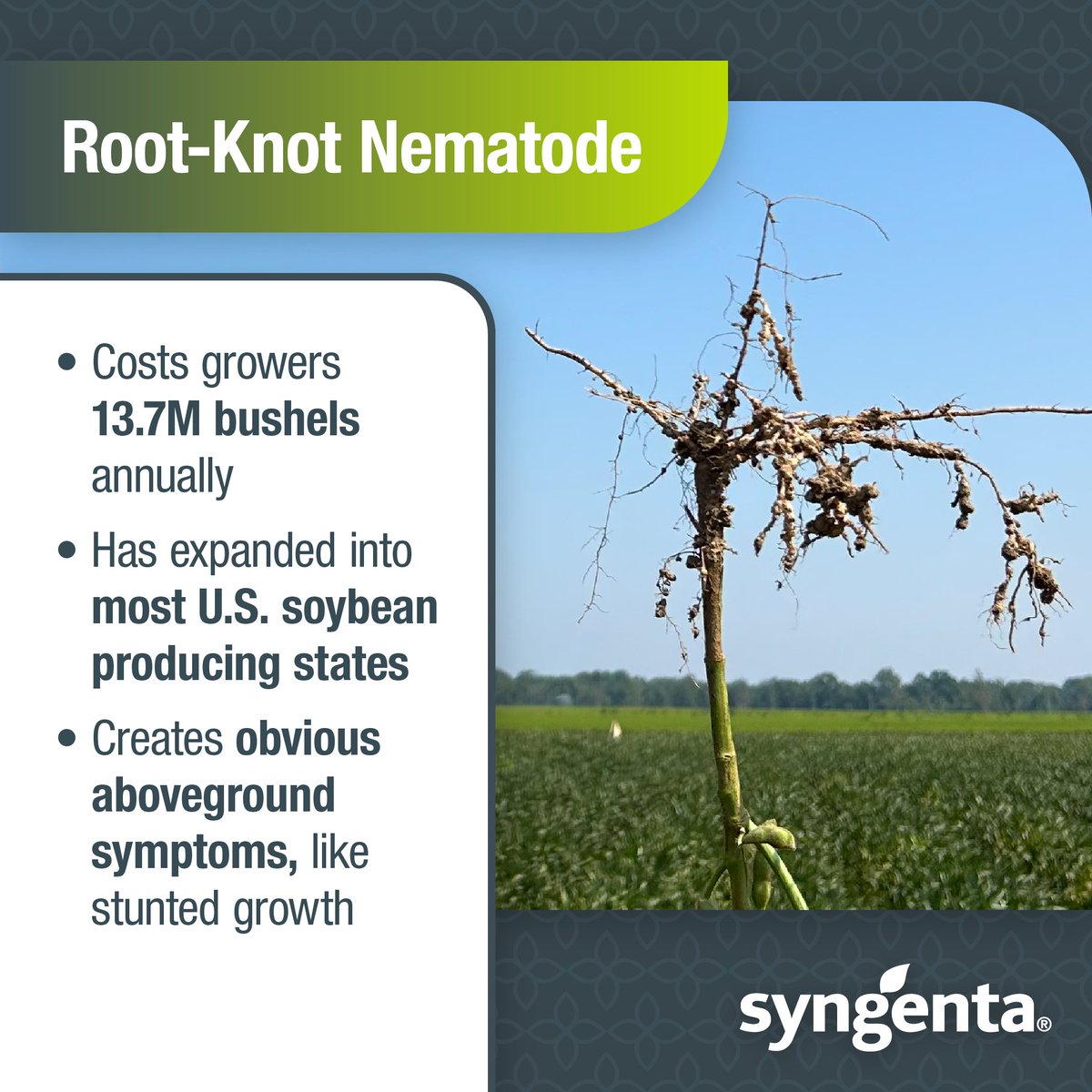 Syngenta US tweet media