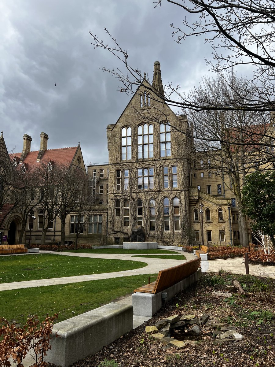 Oliver Ulvebne tweet media