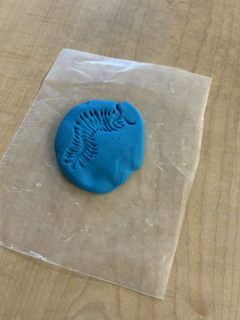 LaQuida Landry tweet media