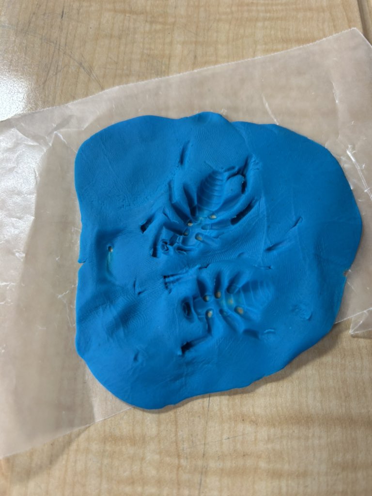 LaQuida Landry tweet media