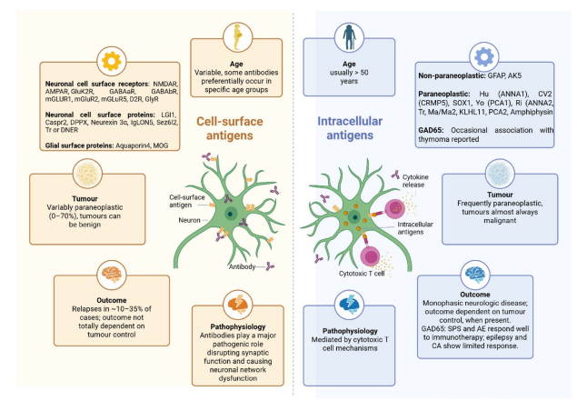 markus_gschwind's tweet photo. https://t.co/xJrjvfmEuk
Mulic-Al Bunni, S., Gschwind, M., Finkener, S. et al. The Treatment of Antibody-Mediated Encephalitis: Current, Future Therapies, Unmet Need and Patient Management. Adv Ther (2026). https://t.co/7MB7wdNJJ5 https://t.co/ZpSgkQ0zZA