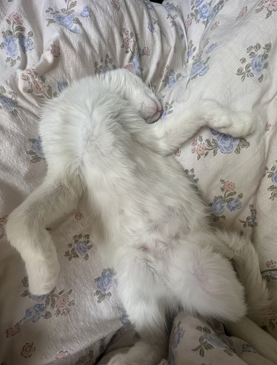 Kathleen tweet media