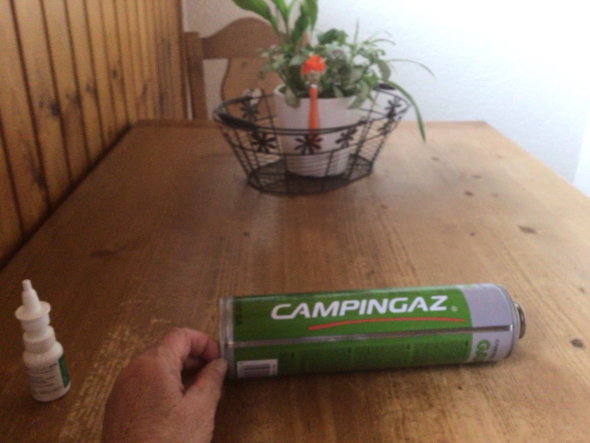 Bovier Marie (@marie_bovier) on Twitter photo 