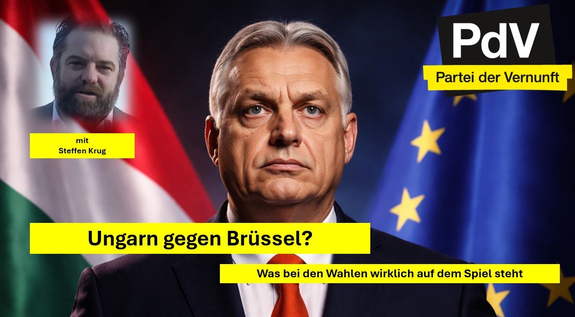 PdV Bundesverband tweet media