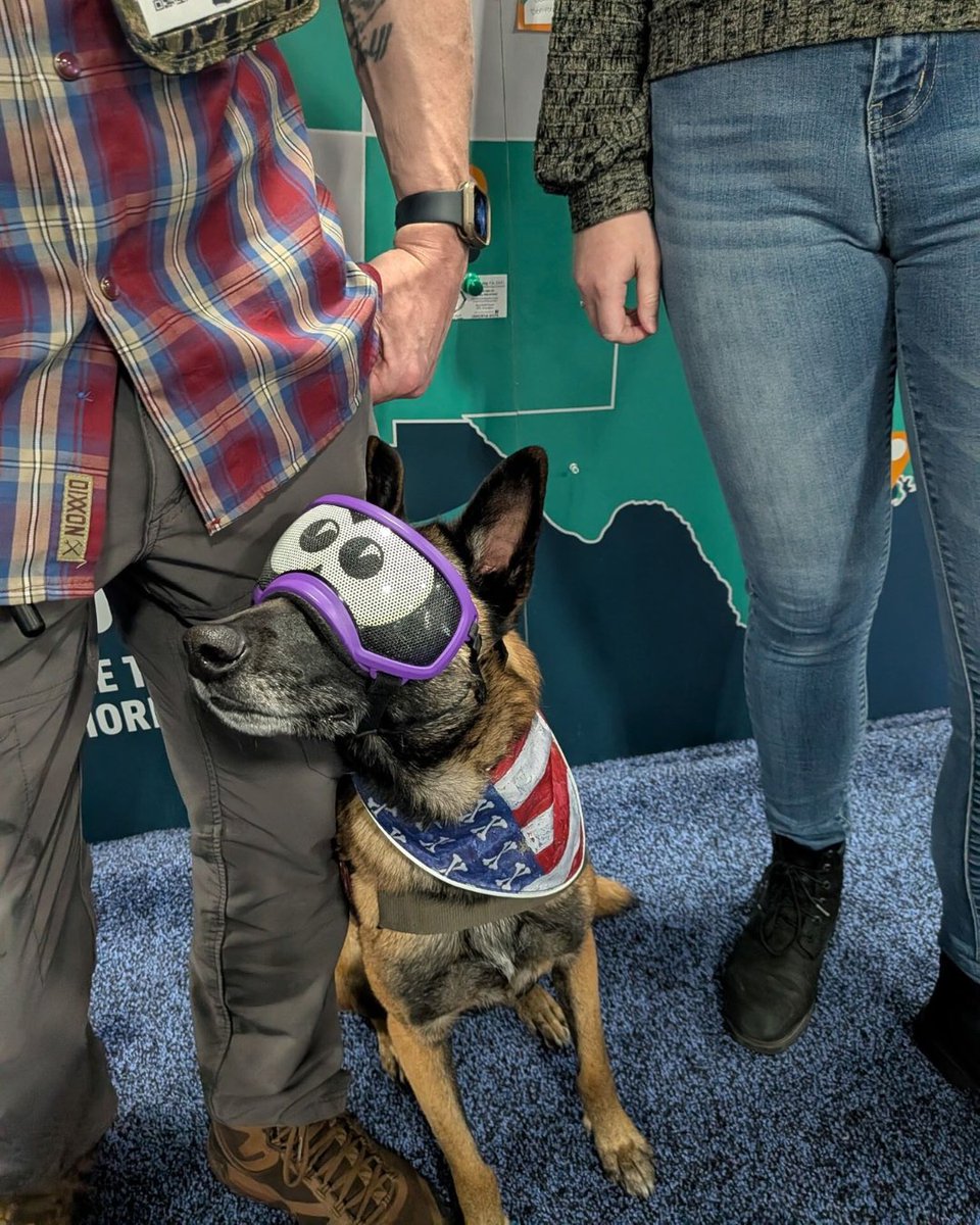 Project ChildSafe tweet media