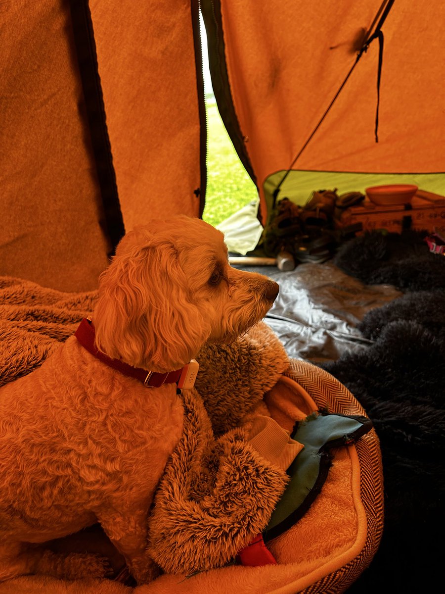 Free 🇵🇸 #RejoinEU tweet media