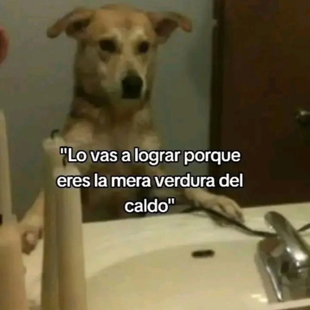 Mundo de Bigotes tweet media