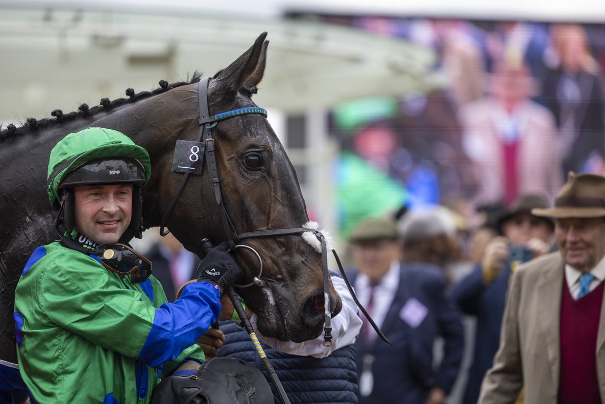 Foran Equine tweet media