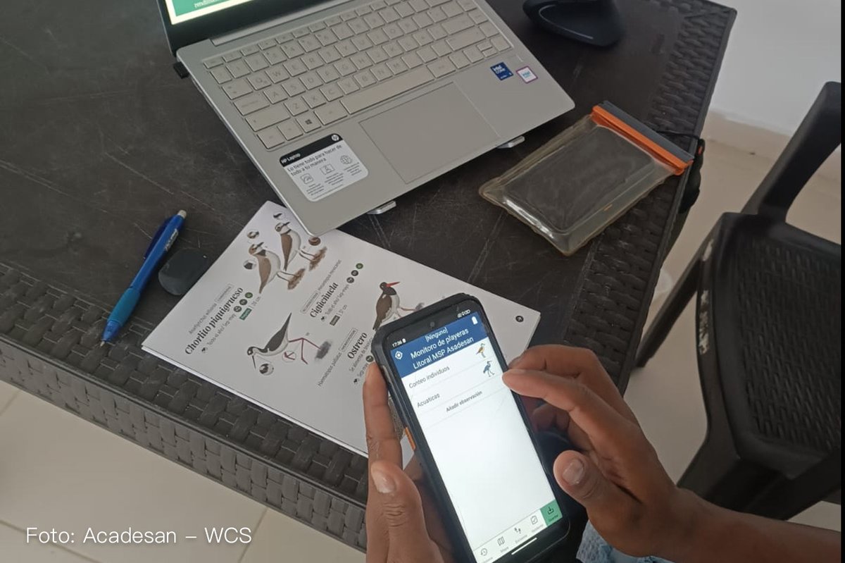 WCS Colombia 💚 tweet media