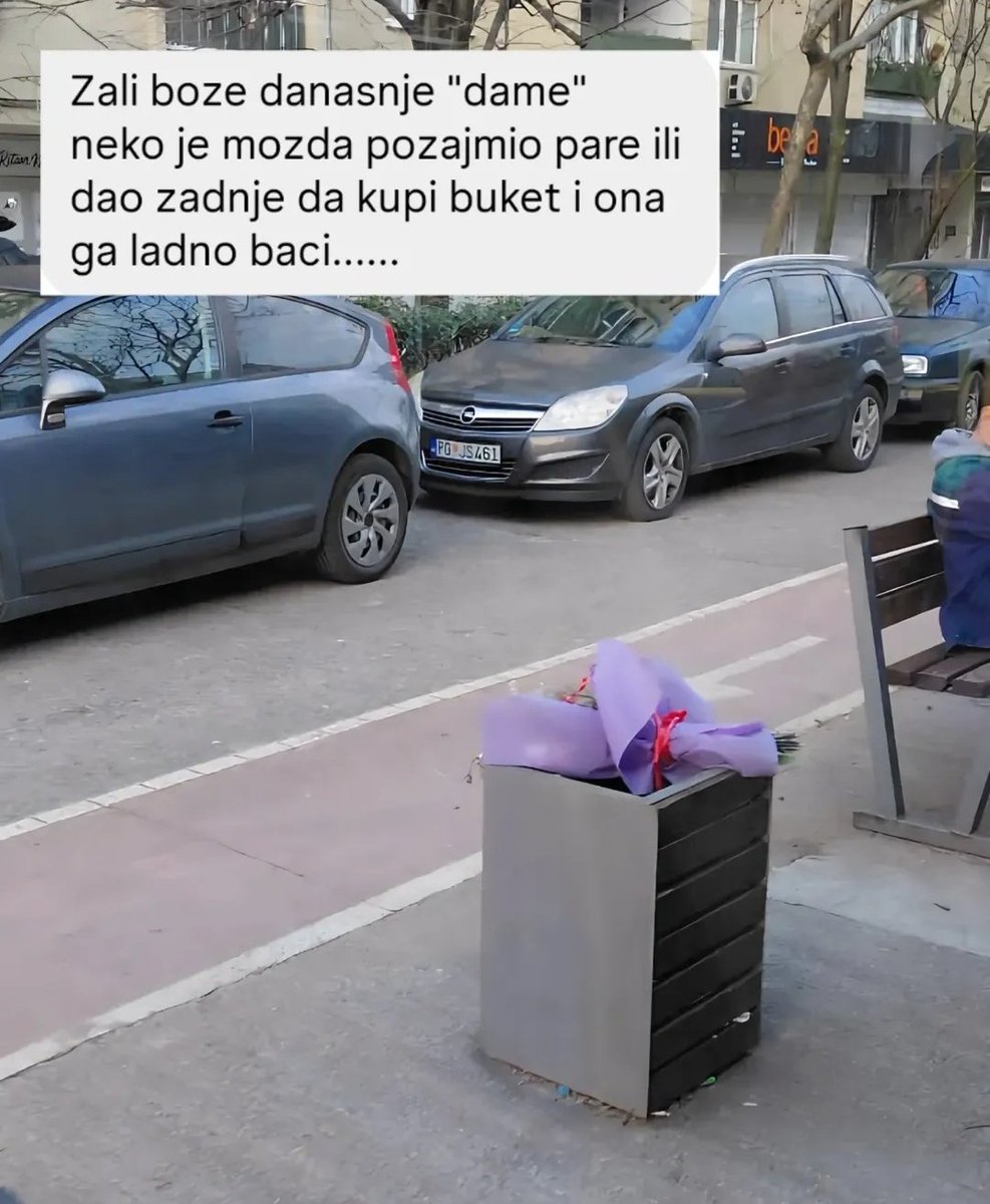 Katarina Petrovic tweet media