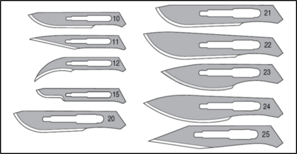 TechLink tweet media