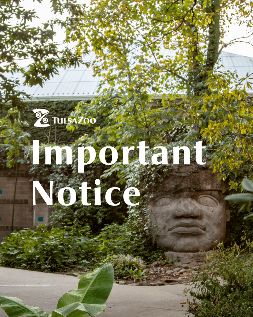 Tulsa Zoo tweet media