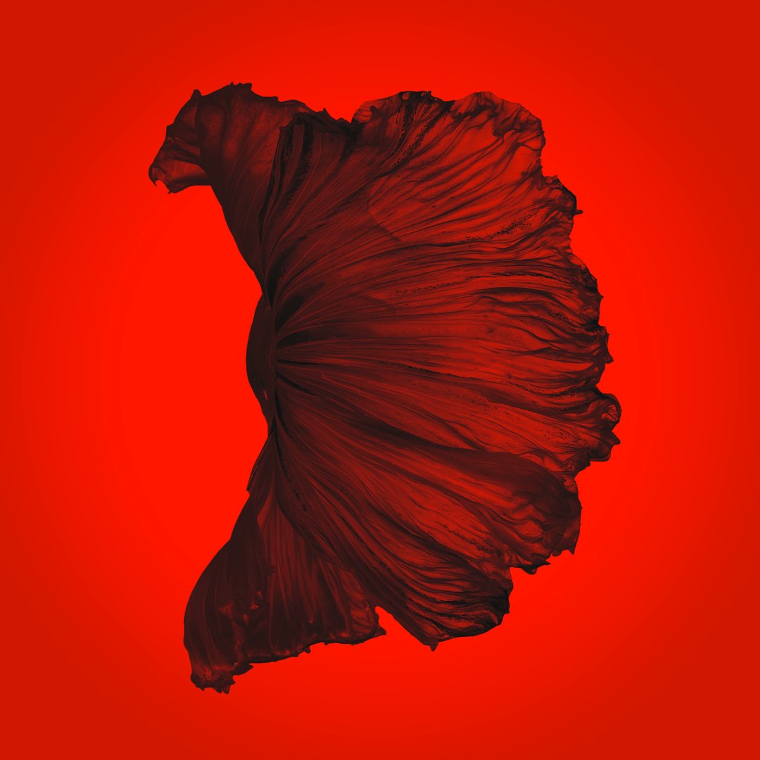 Patrick Farnsworth tweet media