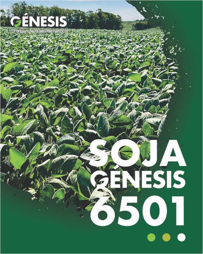 Semillas Génesis tweet media