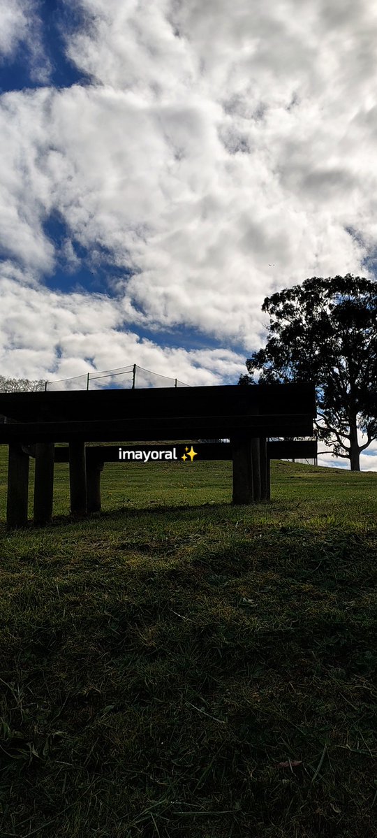 👁️‍🗨️ 🄸🅅🄰🄽🄺🄰 tweet media