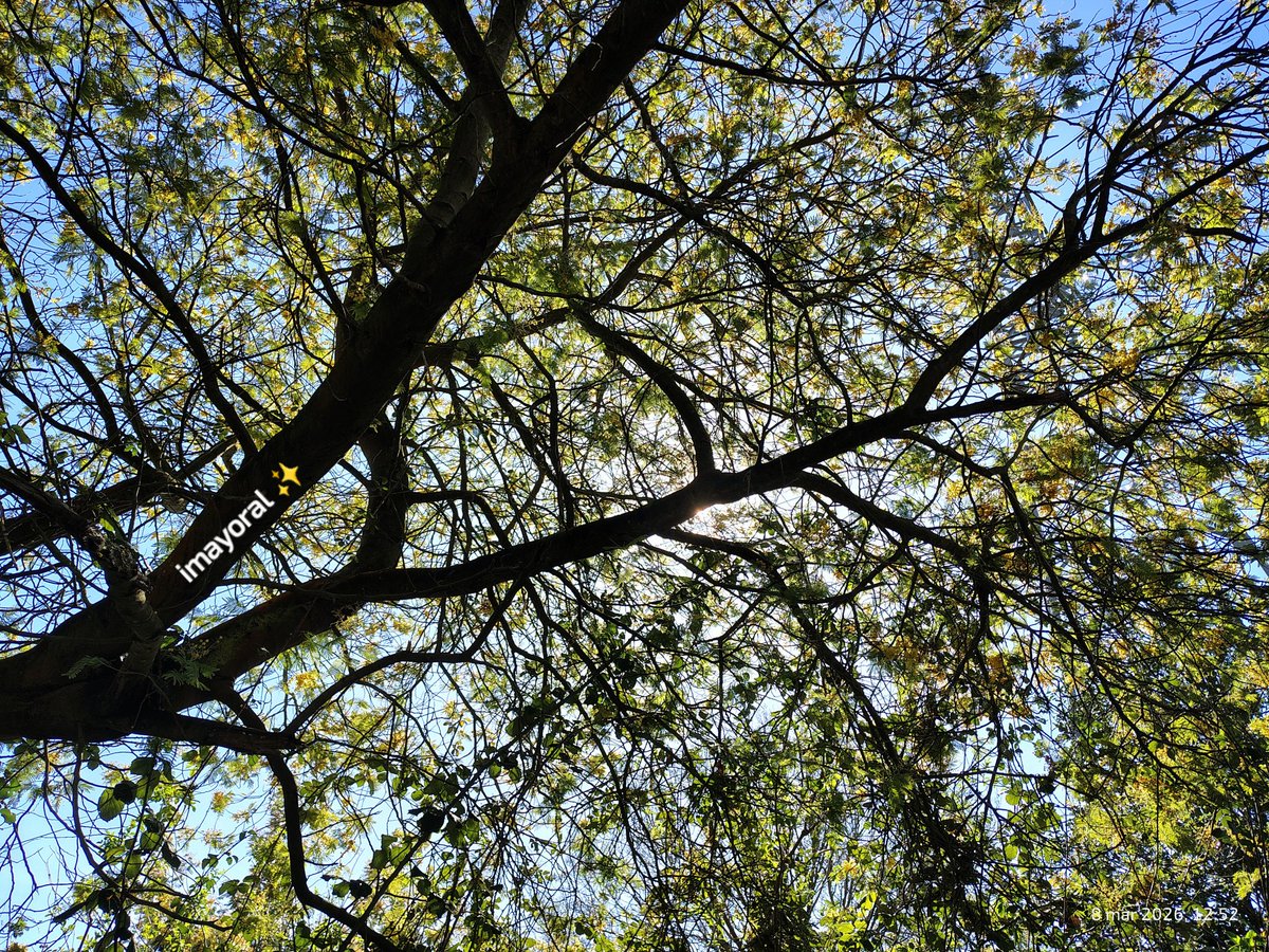 👁️‍🗨️ 🄸🅅🄰🄽🄺🄰 tweet media