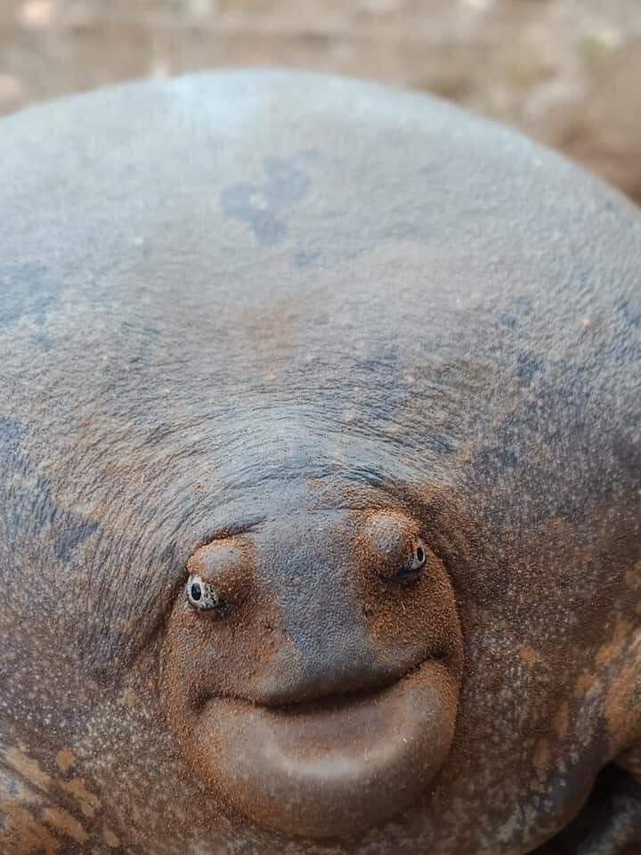 Si tout les RH ont des critères de merde comme ça on comprend maintenant pourquoi il y a autant de chômage en France