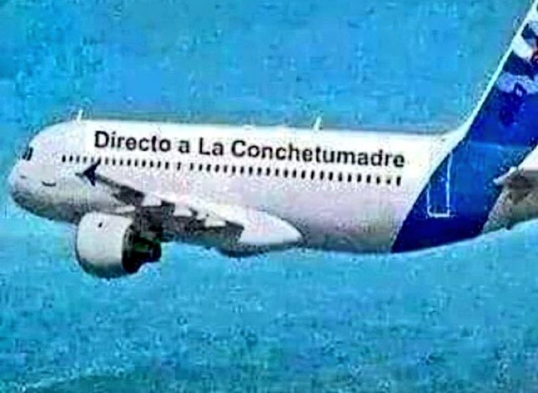 El Avión listo para que el despresidente deje la Moneda y se largue …..