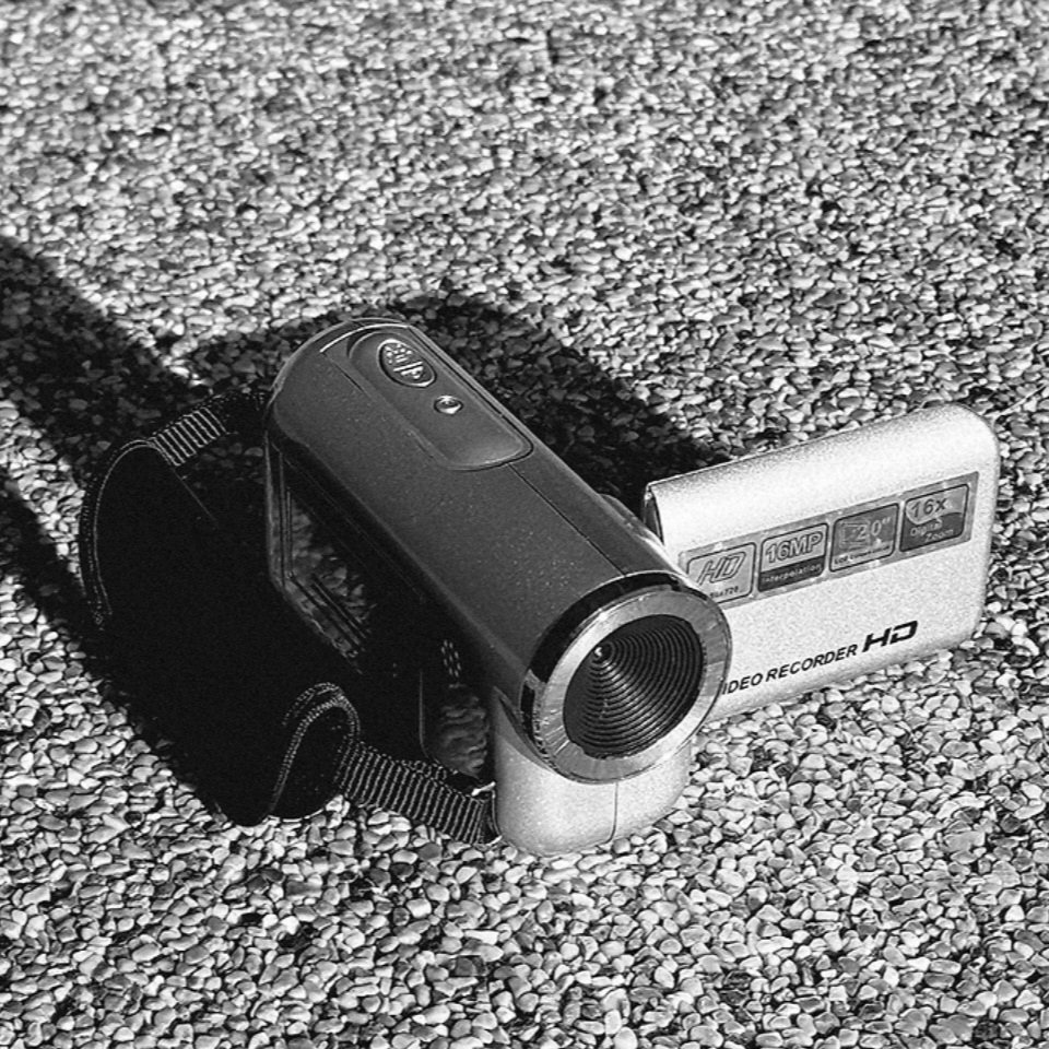 낙원 시범구역 tweet media