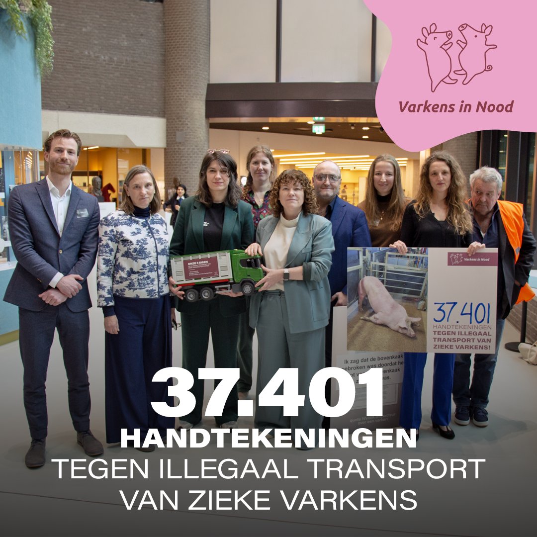 Varkens in Nood tweet media