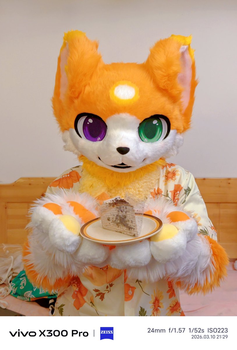 Gomeow·金桔·柠檬茶 tweet media