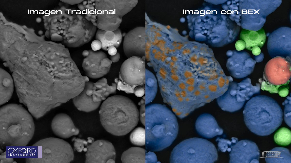 Microscopy SA 🔬🇦🇷 tweet media