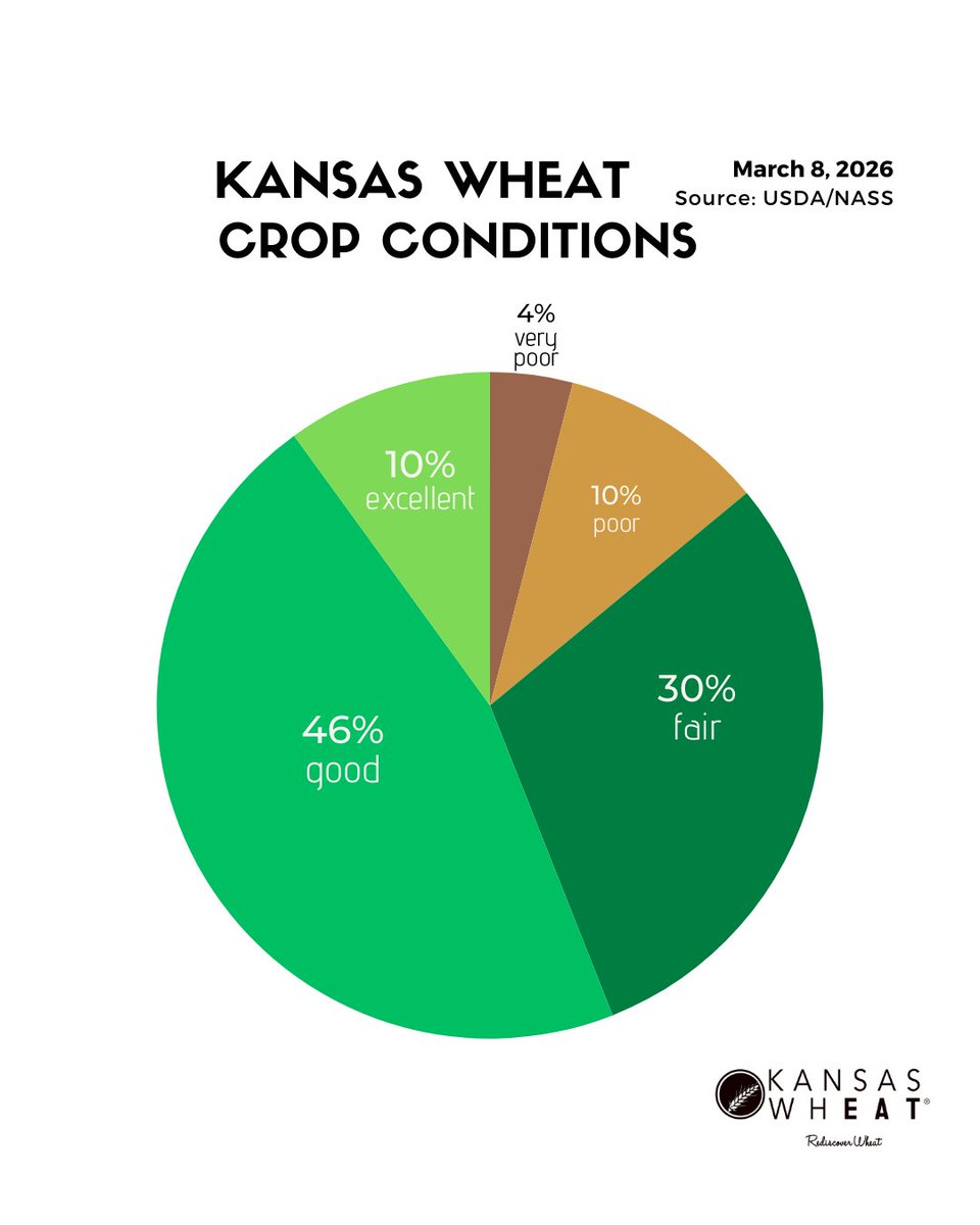 KansasWheat tweet media