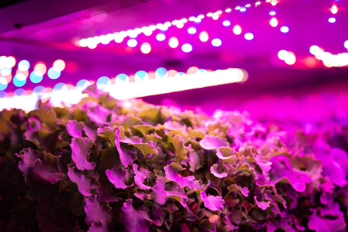 PA Department of Agriculture tweet media