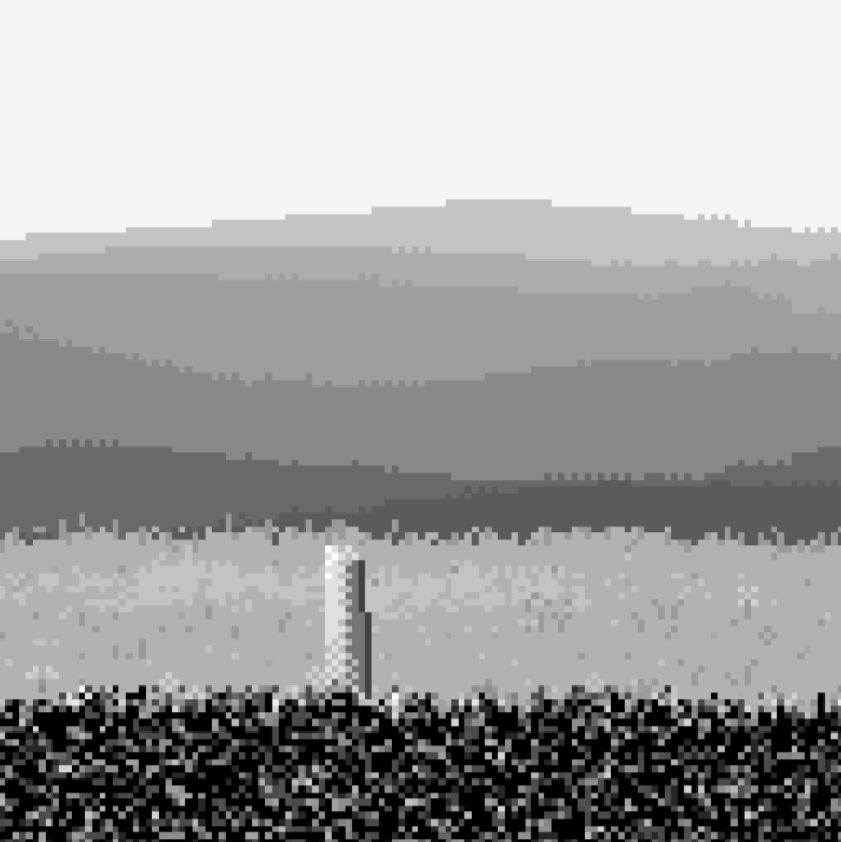 Tony's NFT Shop | MW/KC tweet media