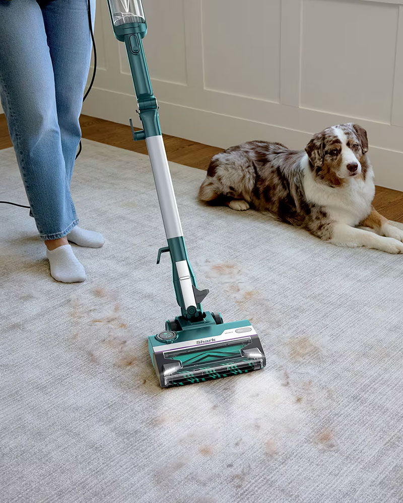 Gerald Giles tweet media