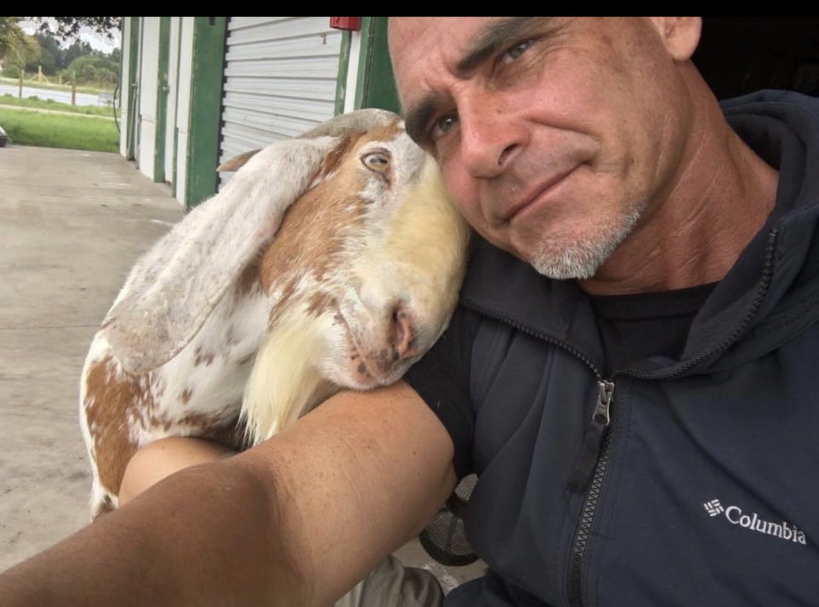 ARM Investigations tweet media