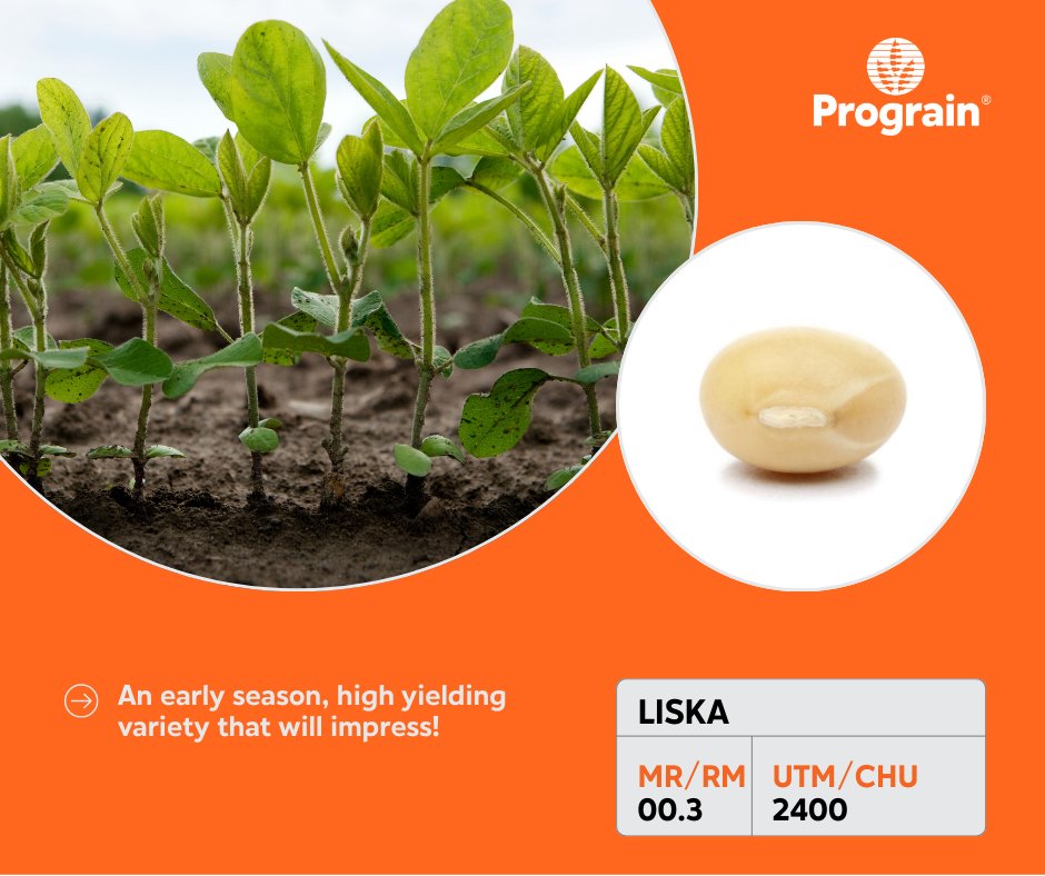 Prograin tweet media