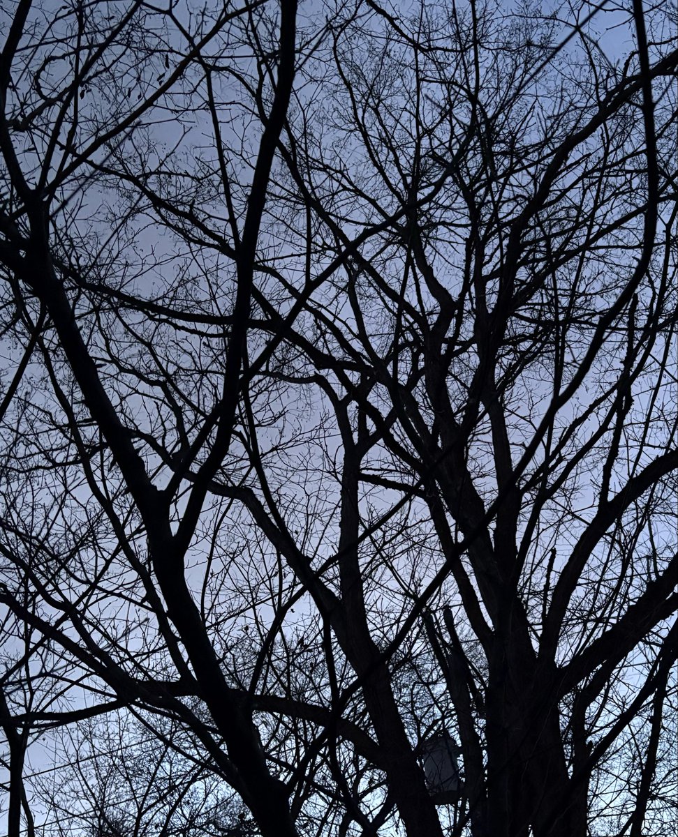 Gm! ☕️ sun is barely out worst leg hamstring spasms cramps ever had to get up tree looks cool though haha! Have a great day everyone! 🤗