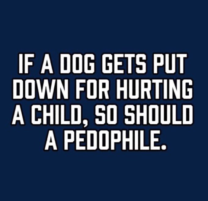 Isabel M tweet media