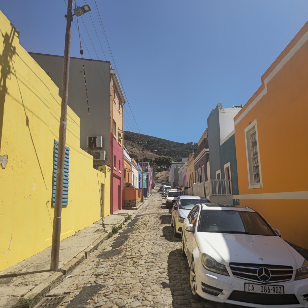 Cardano Wail tweet media