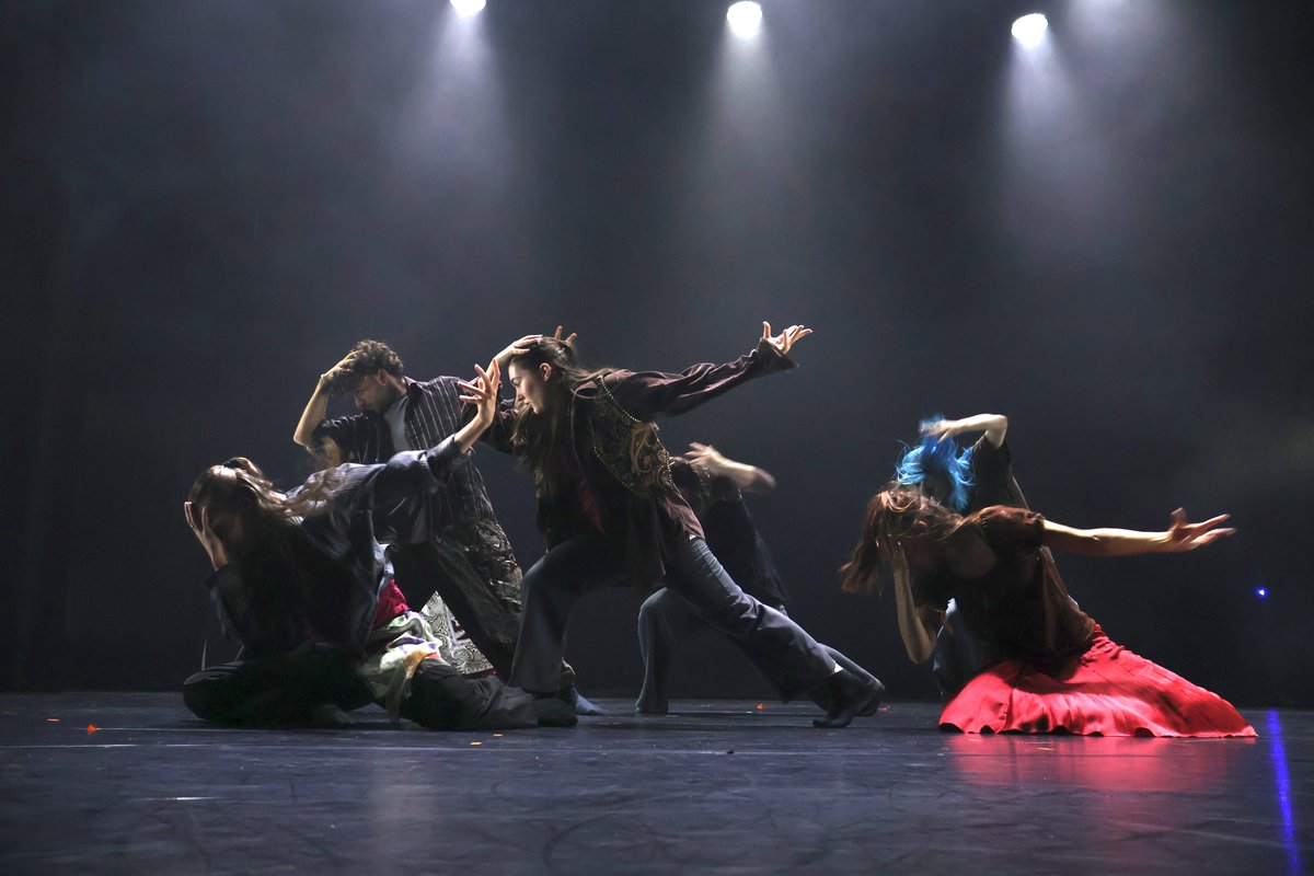 Word of Warning (hÅb) tweet media