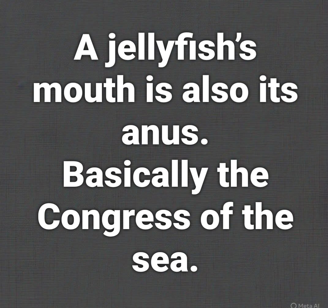 🇺🇸RED🇺🇸 tweet media