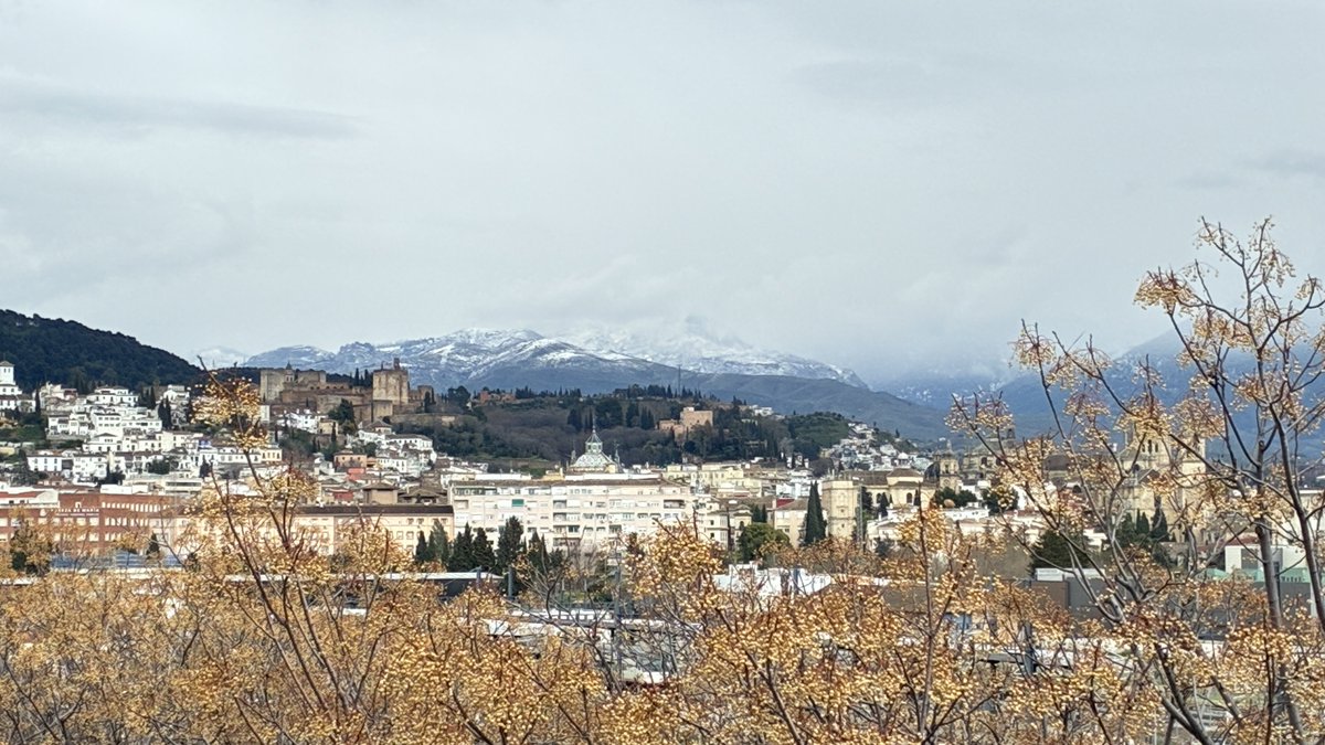 La nieve finalmente hizo presencia por debajo de los 900 metros. A esta hora de la tarde se mantiene la nevada desde los 1.100.

15 mm recogidos desde medianoche y 56 desde el 1 de marzo. Se esperan nuevos chubascos a la tarde #Granada