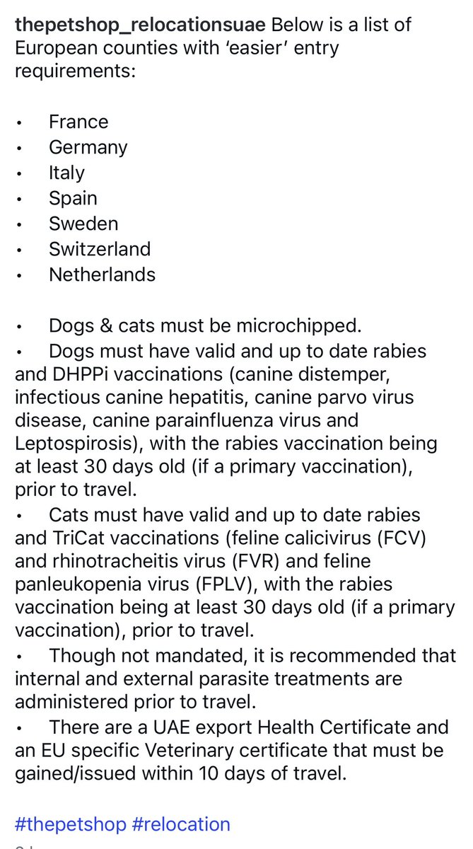 Dienz @dienzlife tweet media