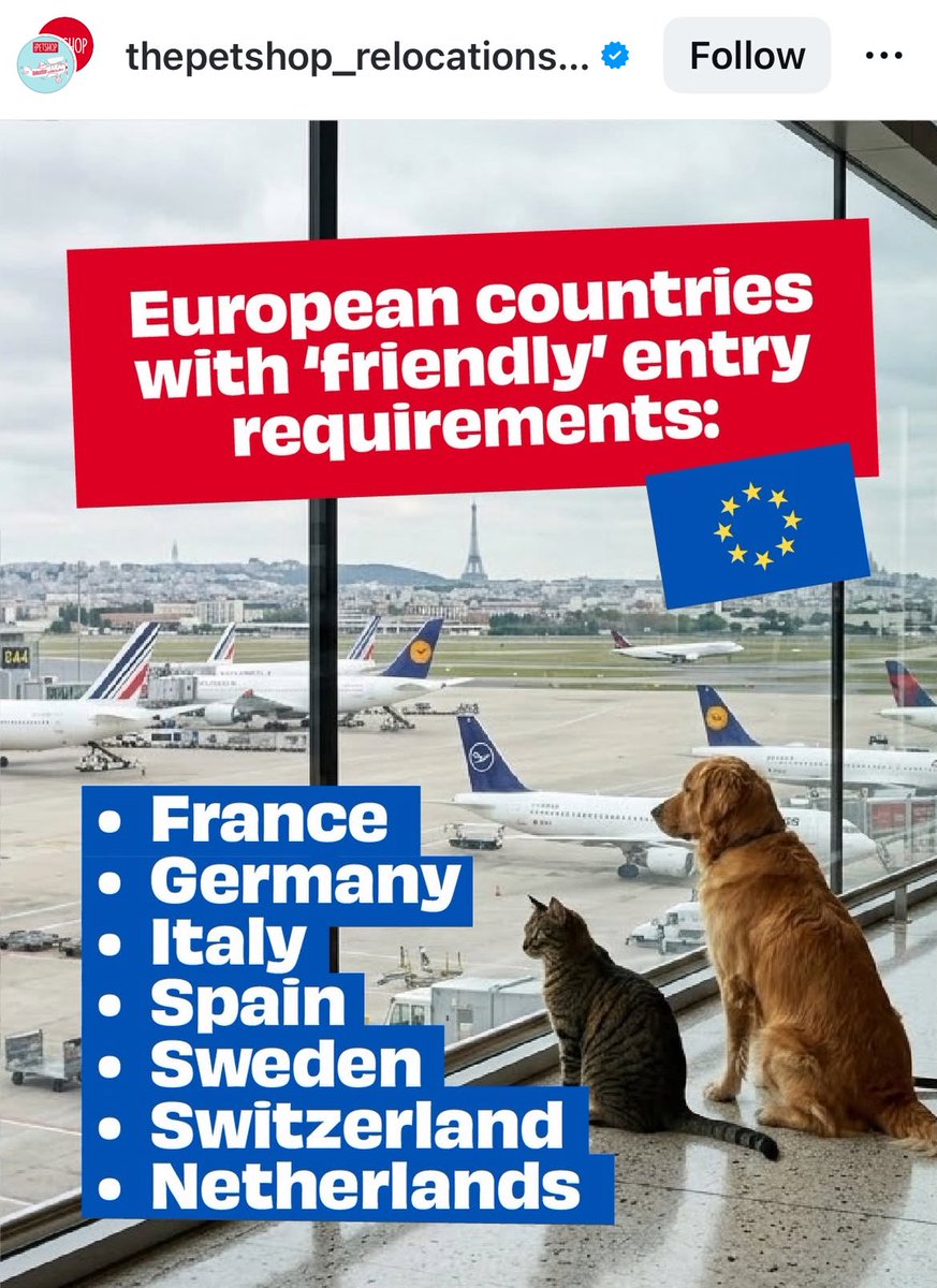 Dienz @dienzlife tweet media