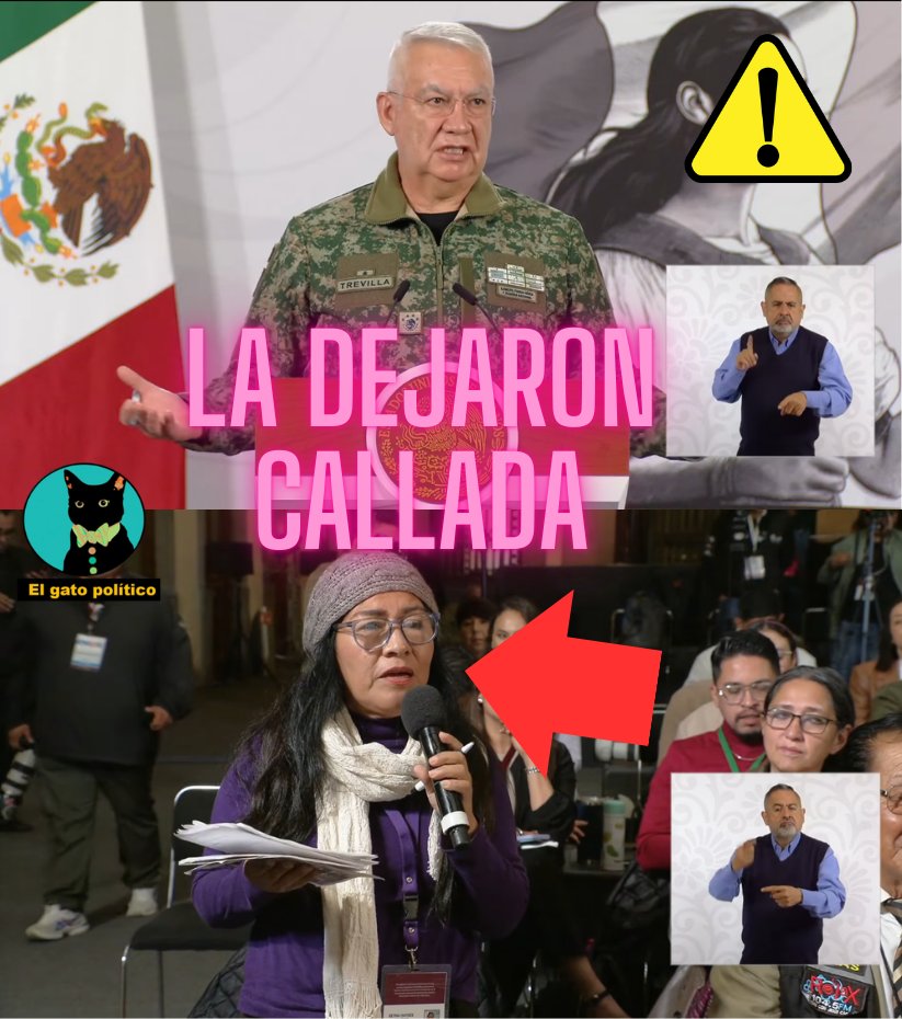 El gato político tweet media