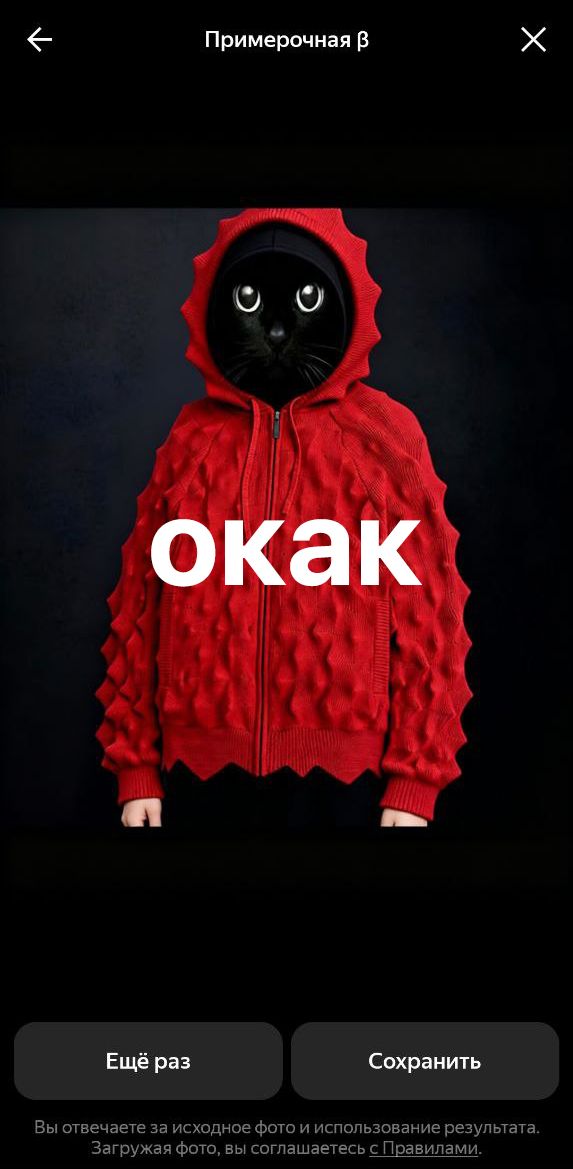 Митя Достоевский tweet media