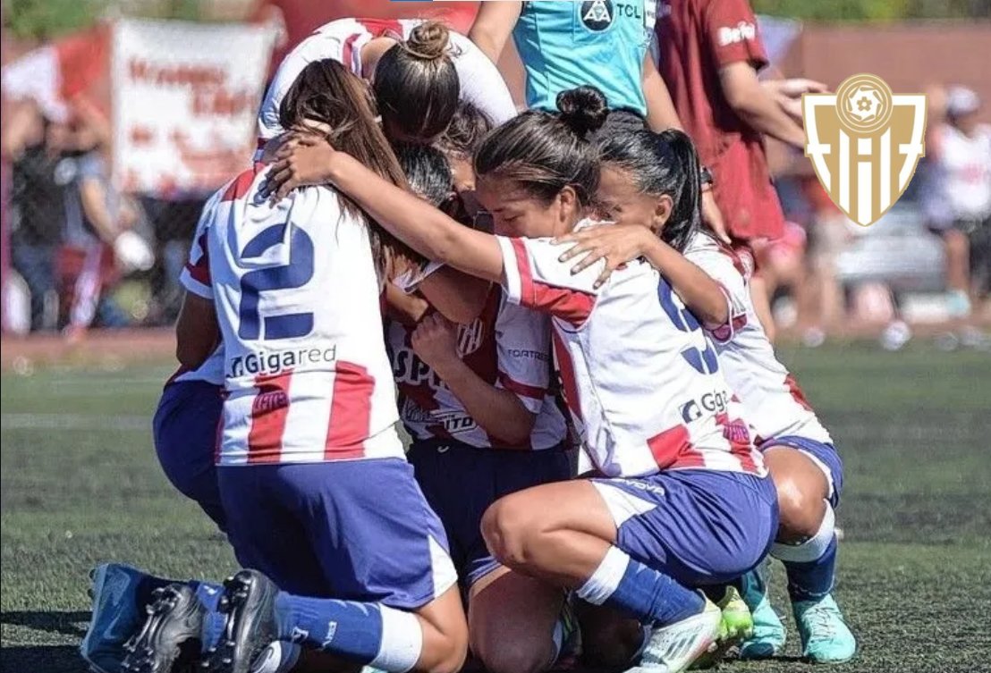 NotiTates tweet media