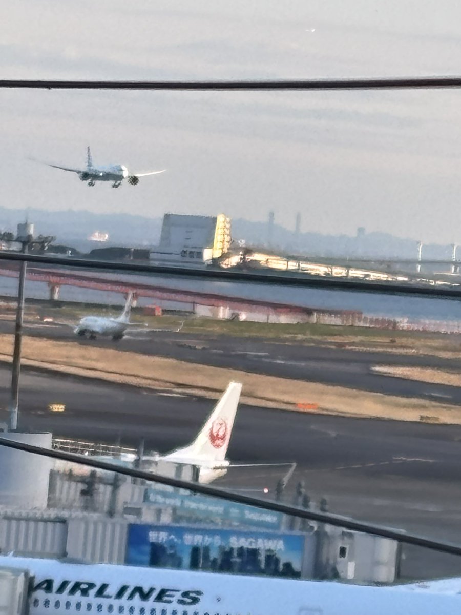 東京5日目 最終日🗼

①亀戸天神社⛩️
西の太宰府天満宮に対し東の
梅は終わり藤の季節も良き

朝からの雨で予定を都庁展望台から
亀戸の寺や神社巡りへ

②ラーメン潤🍜　新潟燕三条 岩のり

③羽田空港展望デッキ✈️

娘達と 立川翼ライブ､観光､食事と
楽しく濃い旅でした🍀
なんと5日で88,000歩🚶🏻‍♀️😲