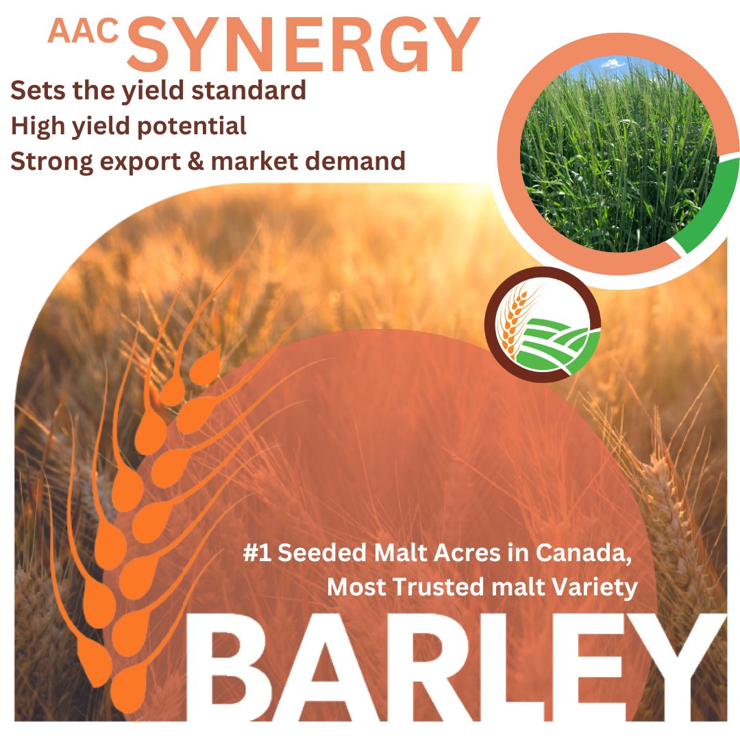 FP Genetics tweet media