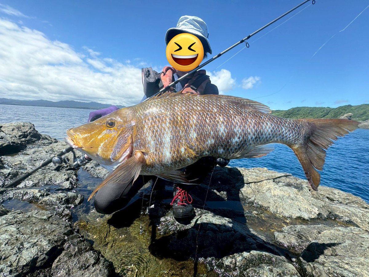 lotsway_onefish's tweet photo. 合格された皆さん、おめでとうございます㊗️

京大釣りサークル魚人は新規メンバー募集中です！各々がルアー釣り、餌釣り問わず様々な釣りを楽しんでいます🎣

入会希望、質問はDMで受け付けています。初心者からガチ勢まで大歓迎です‼︎ https://t.co/QxZwmVSdOe