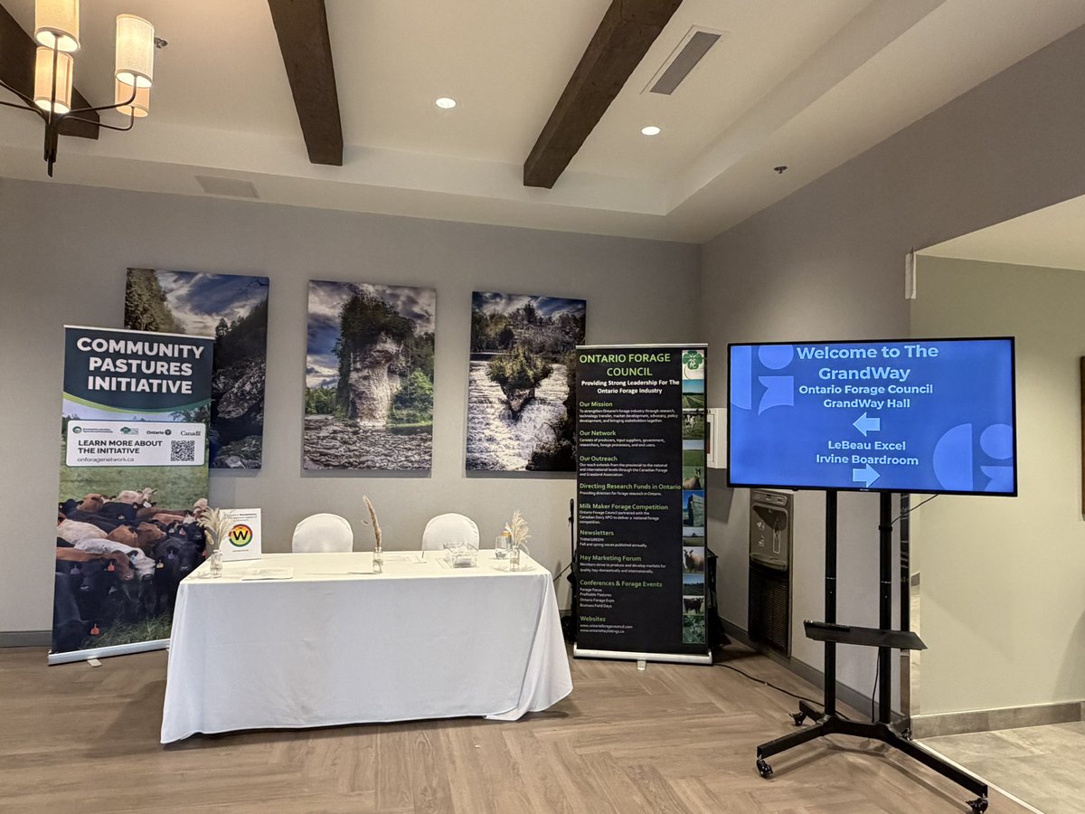 Wonderfull Tech. tweet media