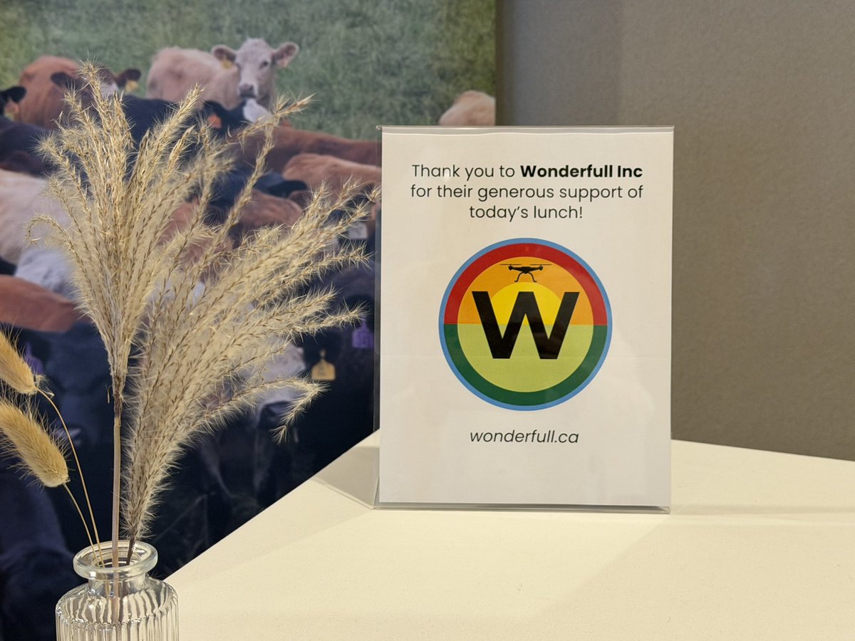 Wonderfull Tech. tweet media