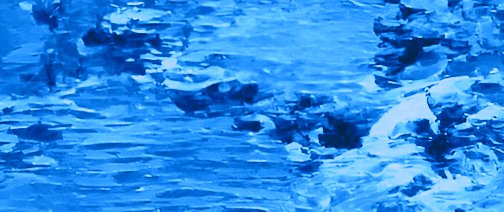 ed newman tweet media